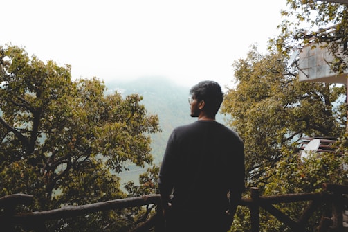 Cozy luxury suite balcony overlooking dense forest with morning mist weaving through the trees.