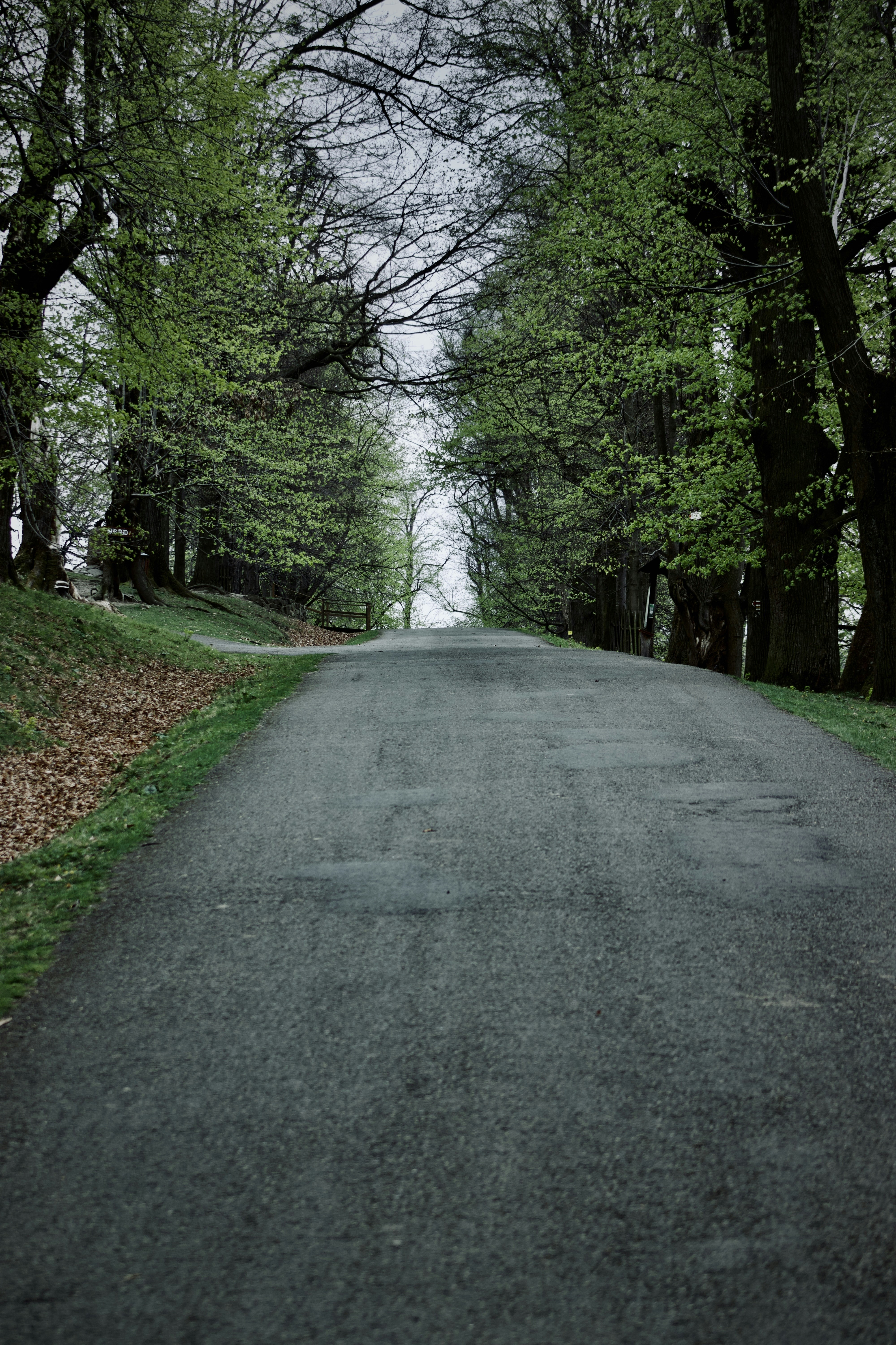 Photo by jakub_neskora