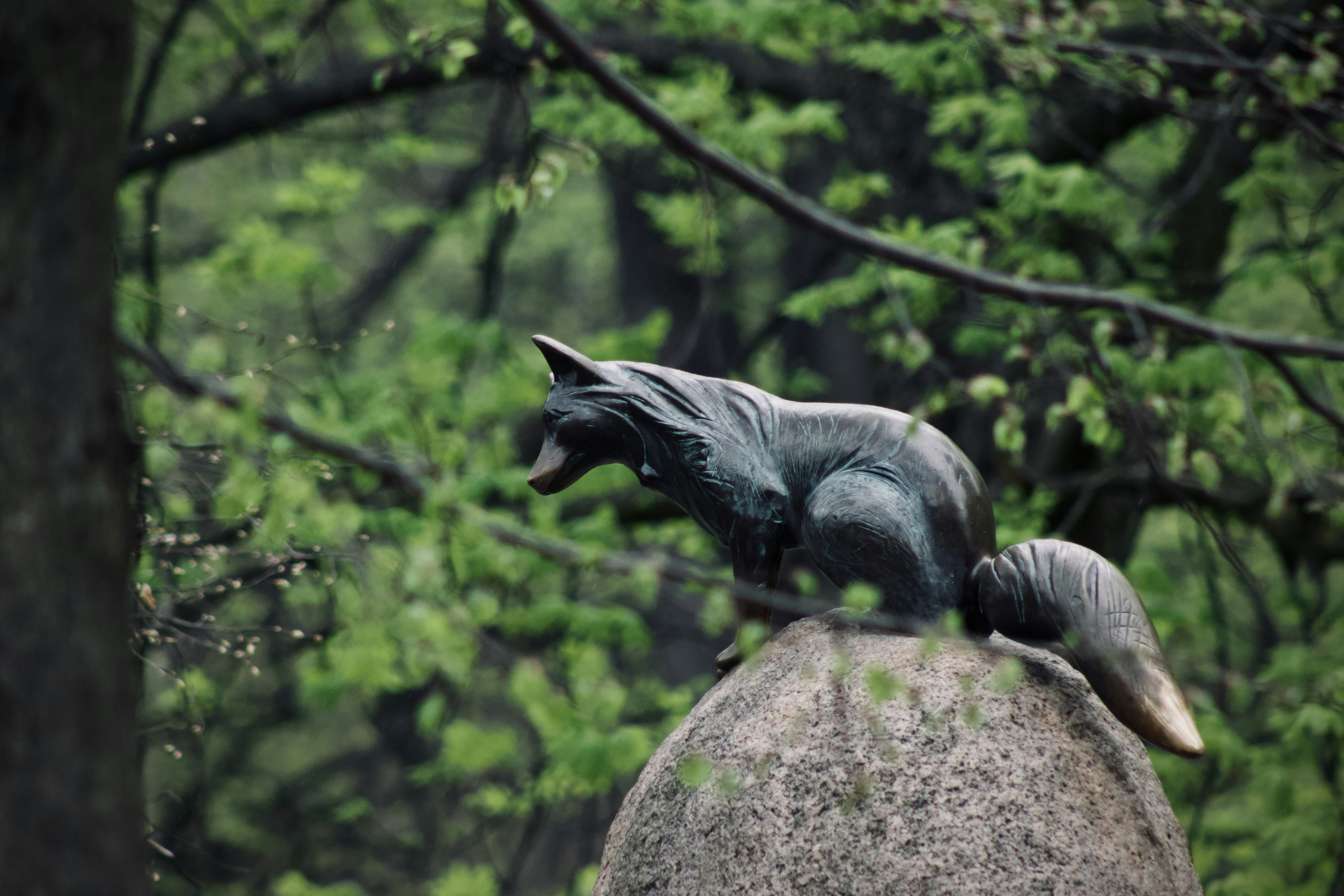 Photo by jakub_neskora