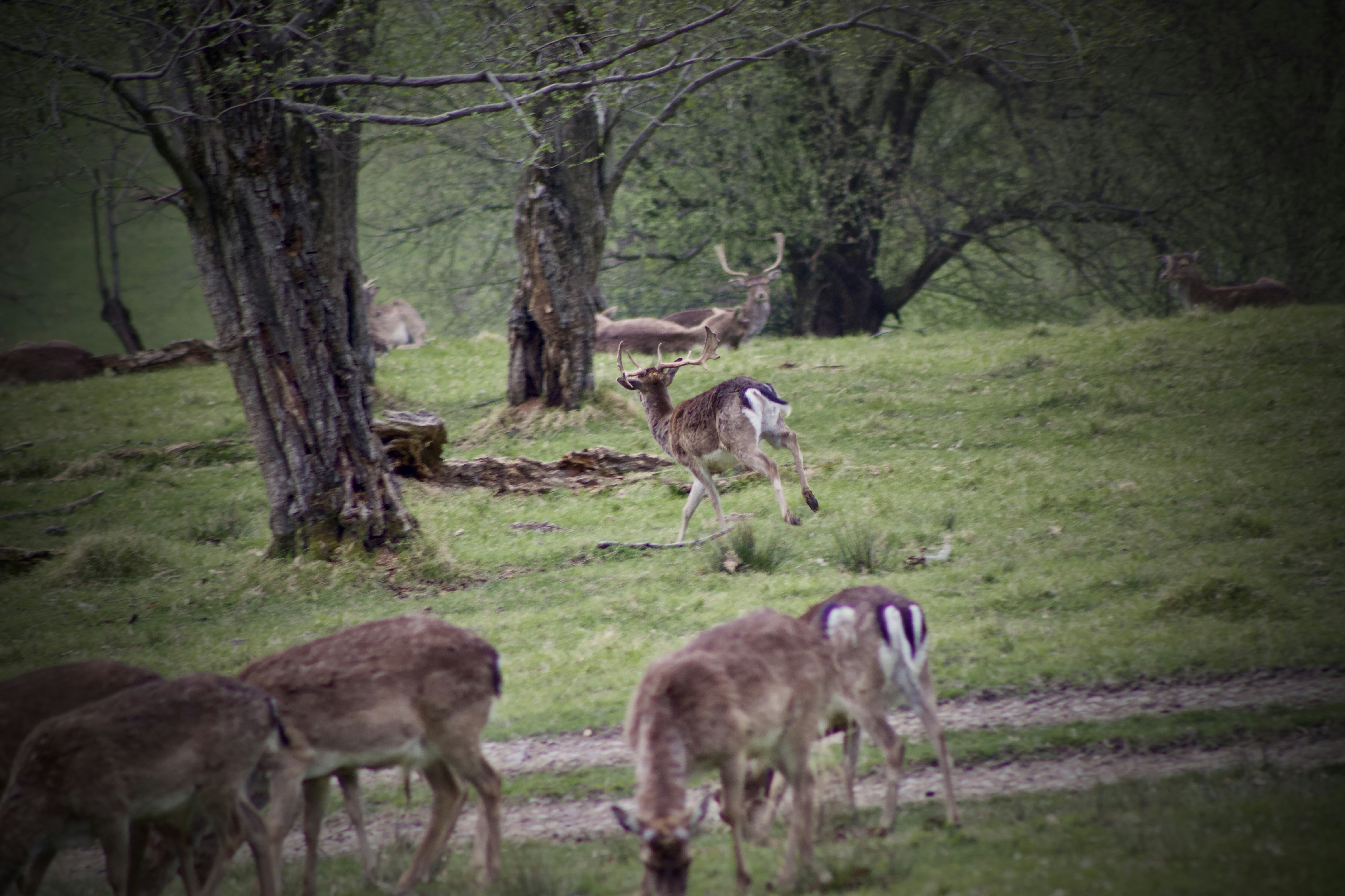 Photo by jakub_neskora