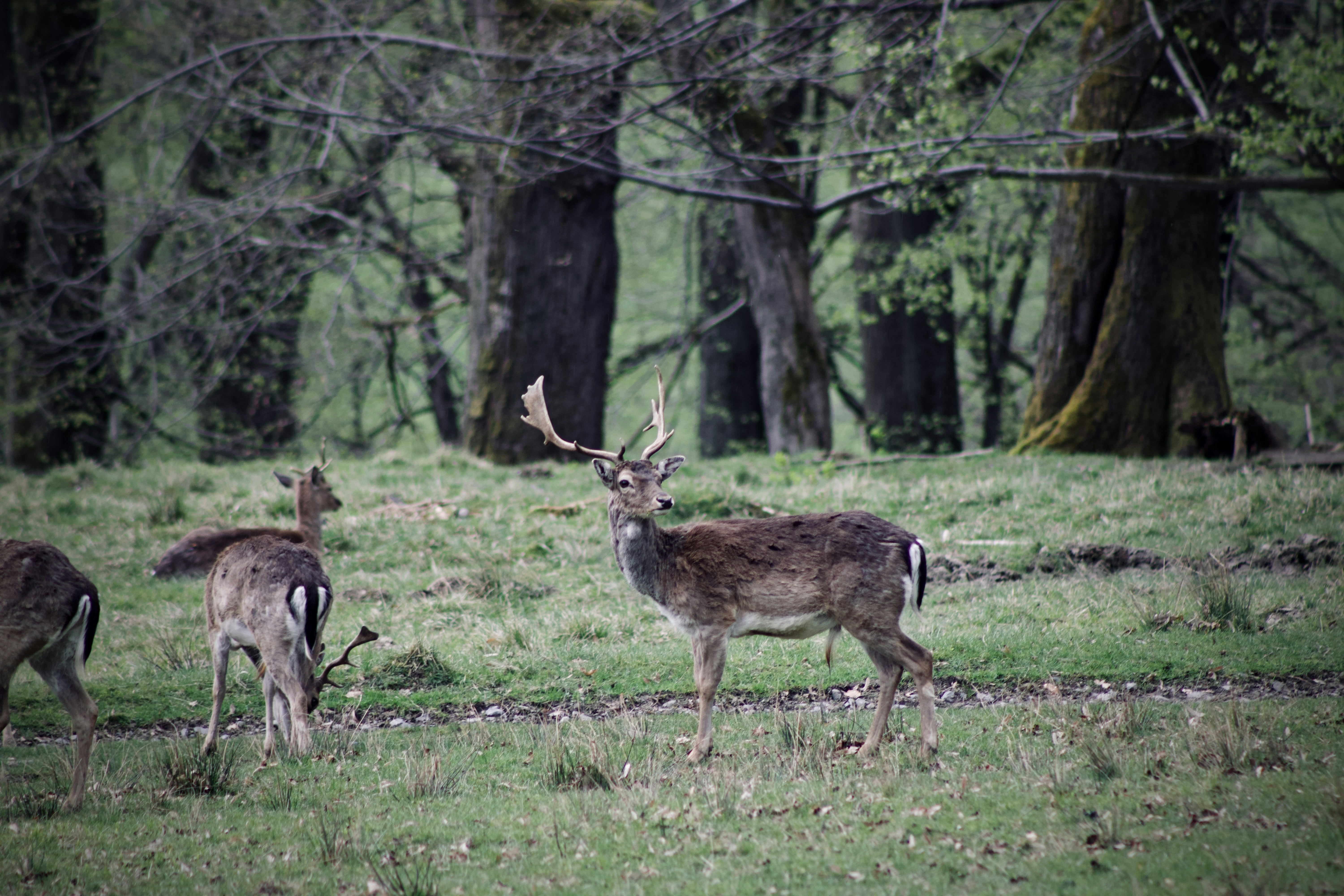 Photo by jakub_neskora