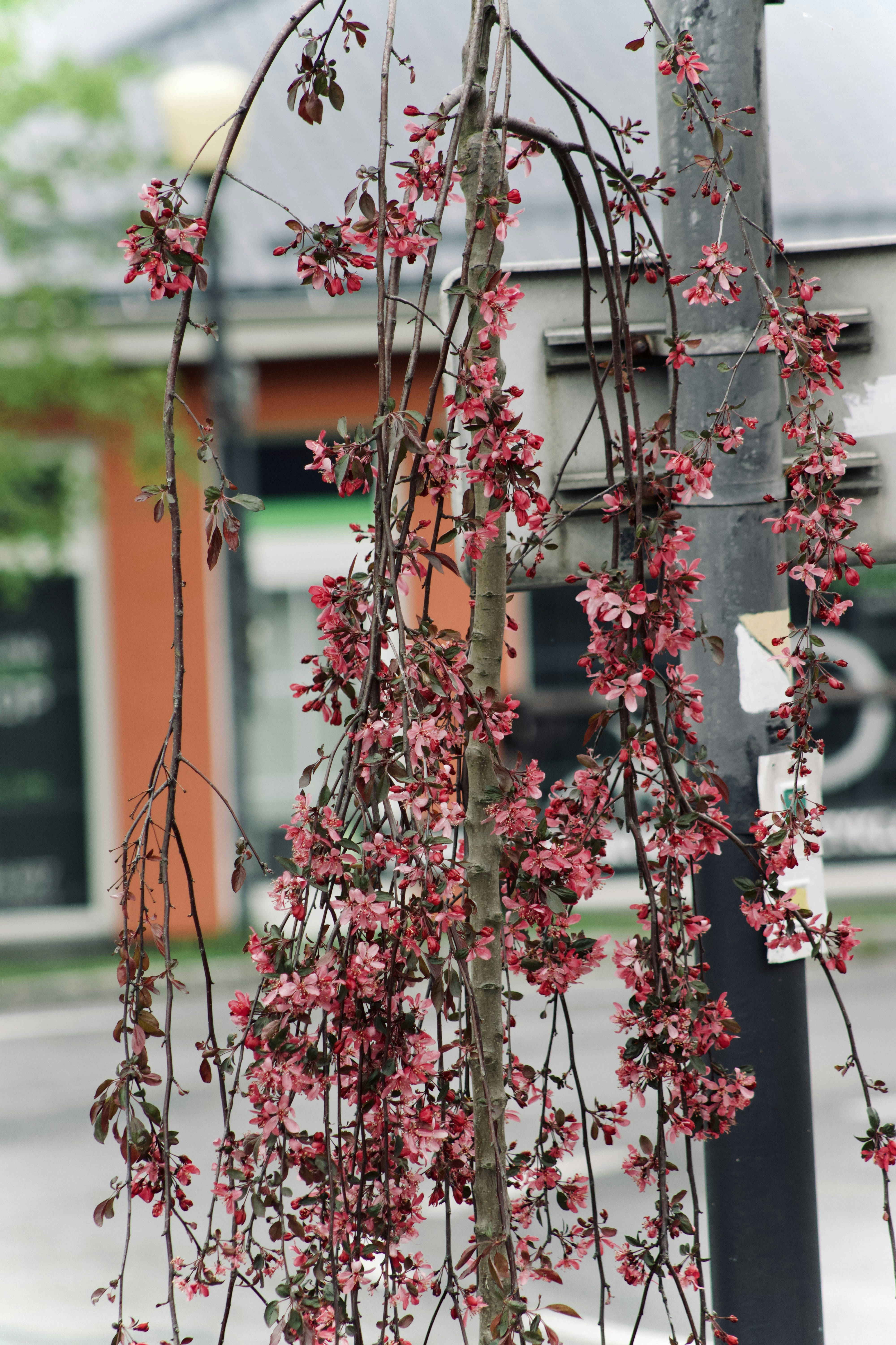 Photo by jakub_neskora