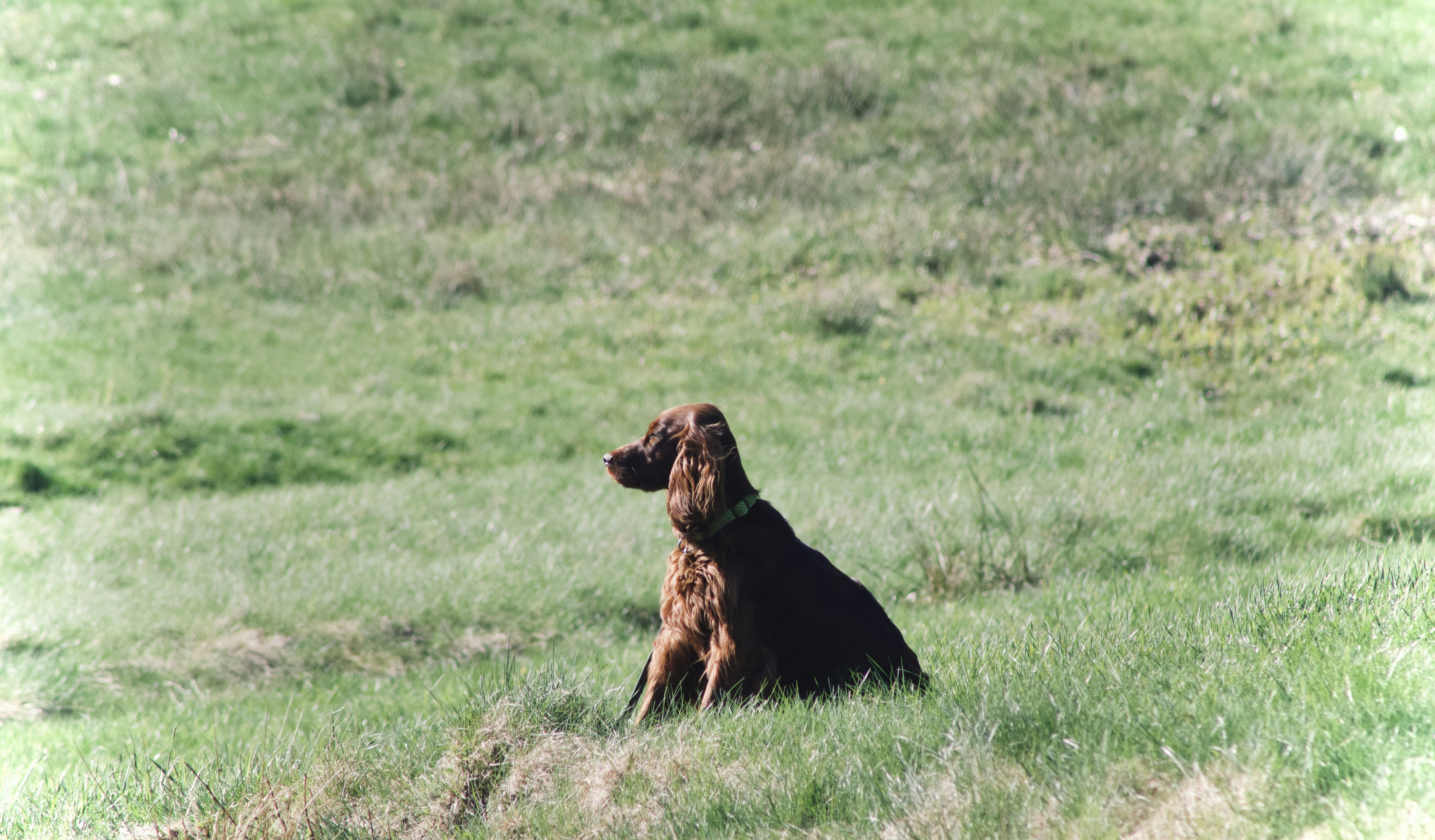 Photo by jakub_neskora