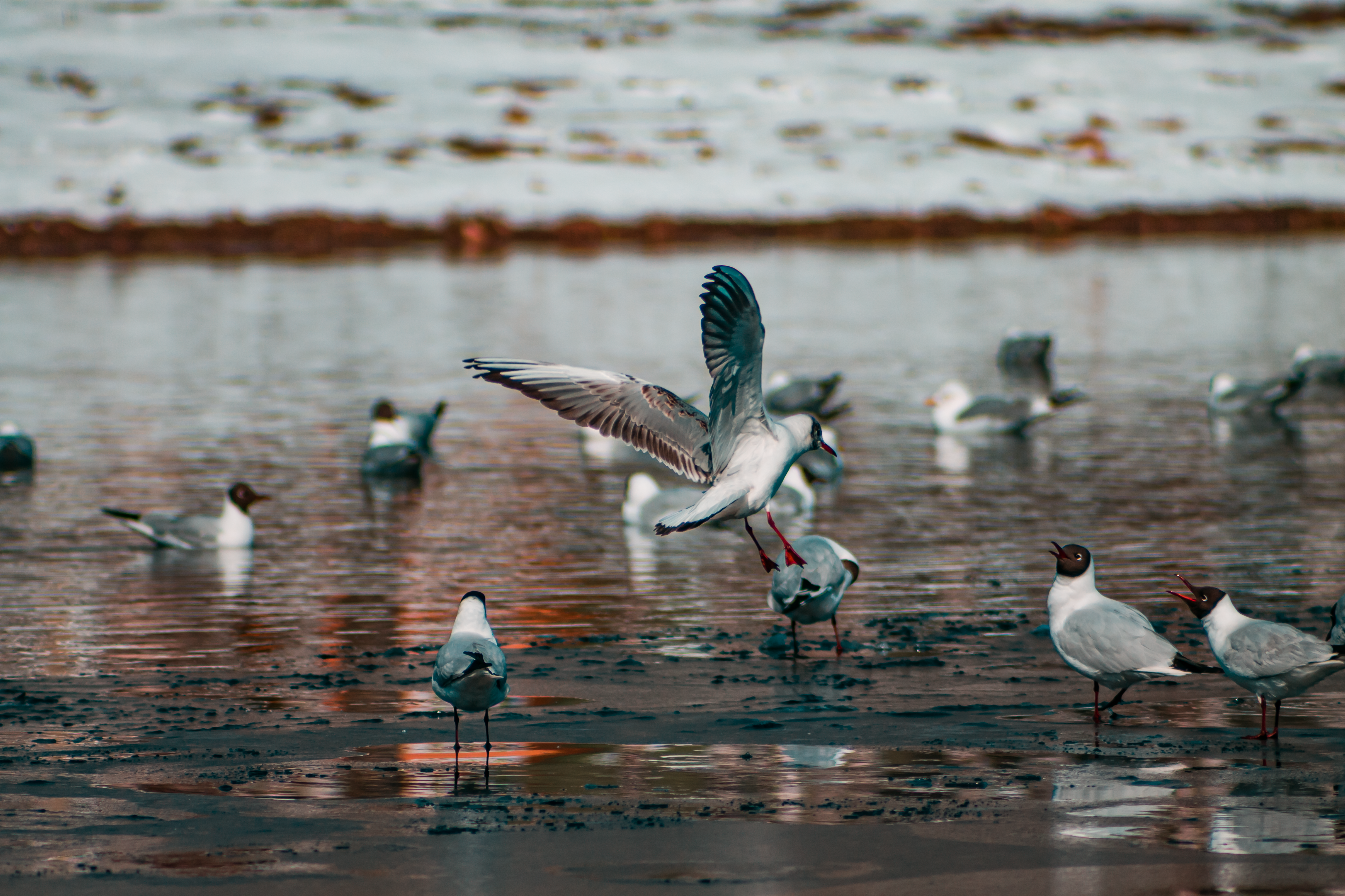 Photo by dragoncy635