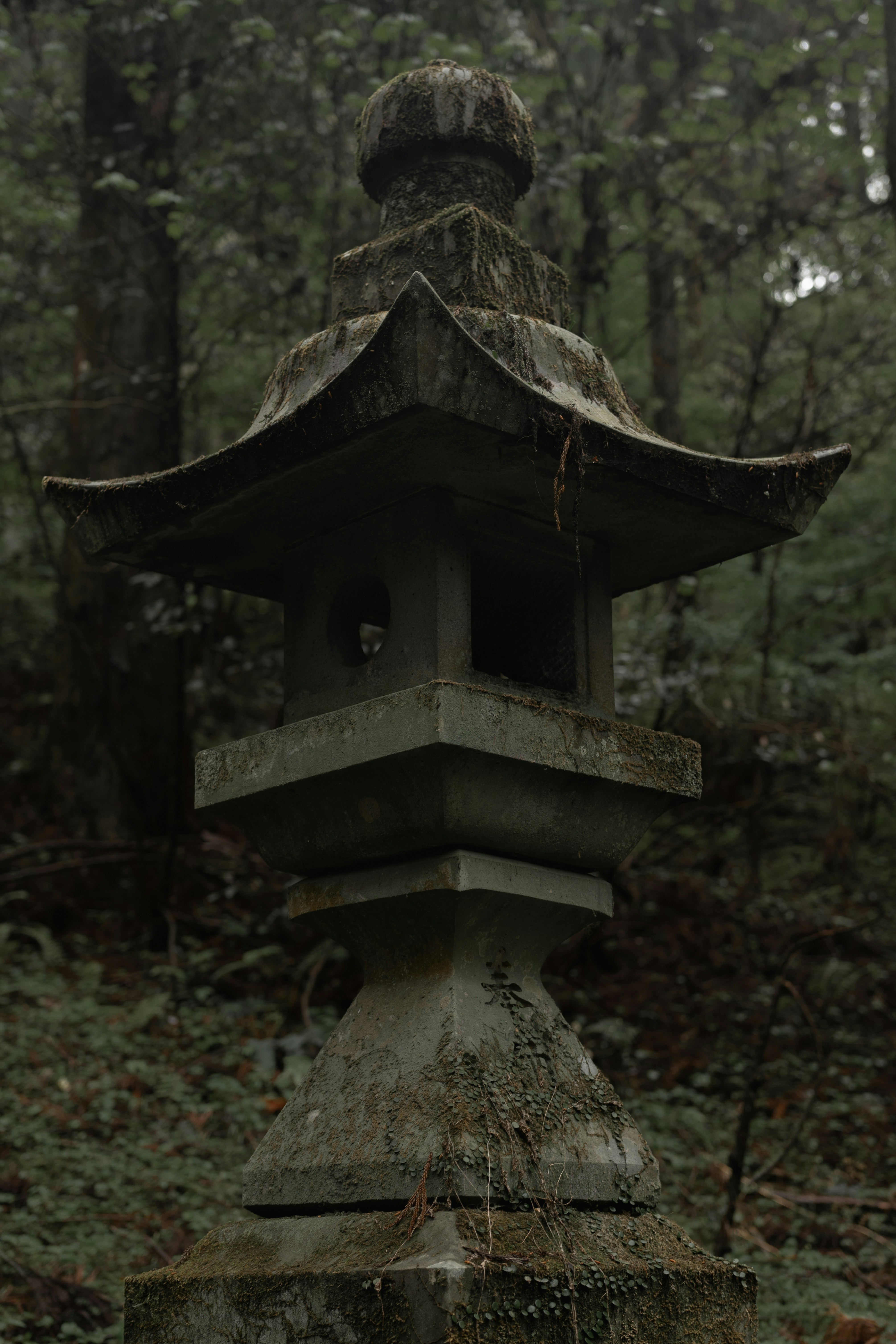 Fushimi Inari Shrine in Kyoto, Japan.