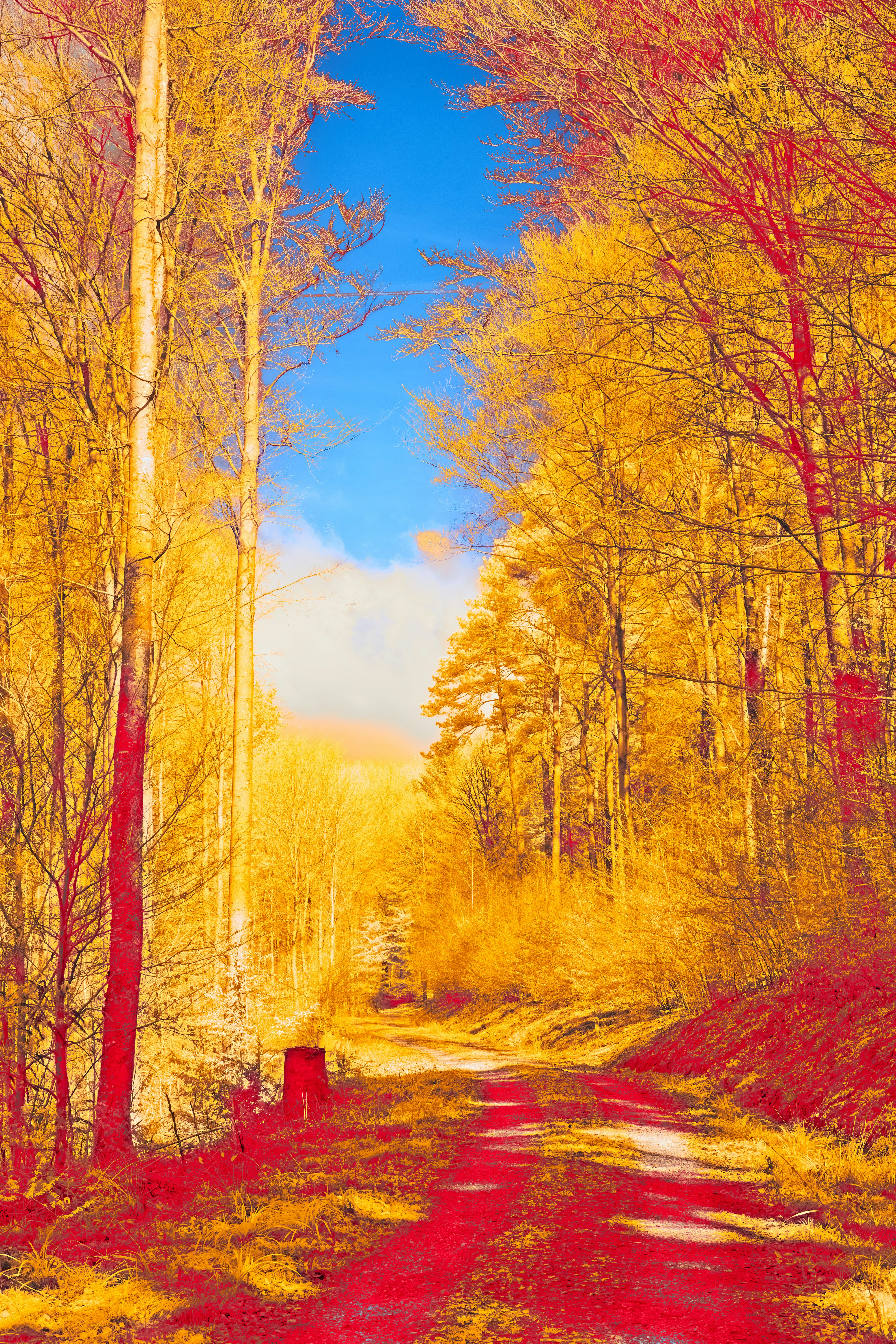 Photo by wolfgang_hasselmann