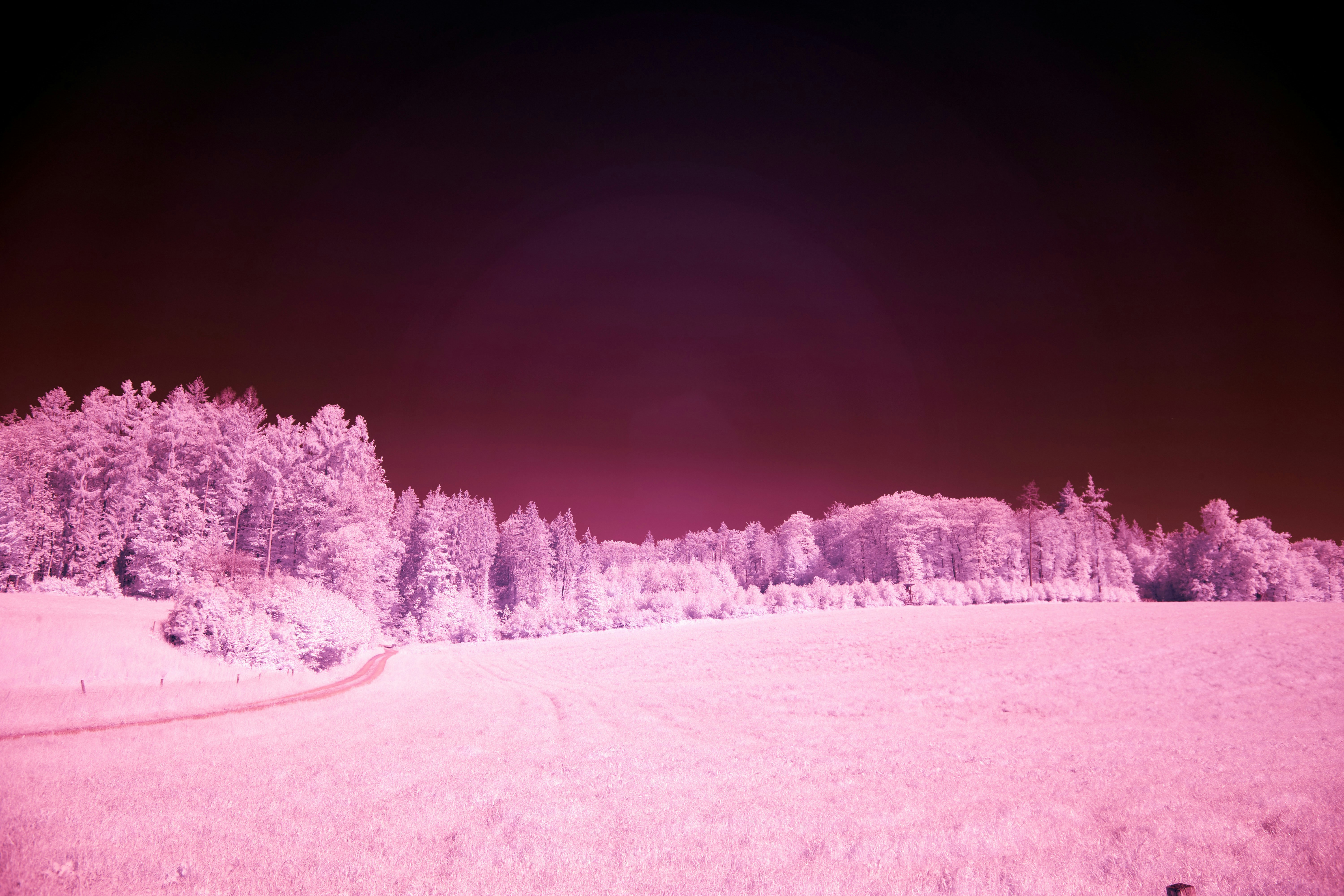 Photo by wolfgang_hasselmann