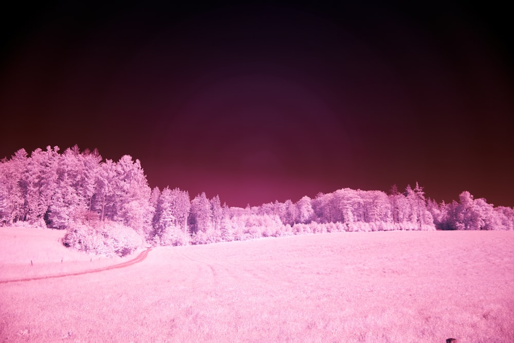 a infrared image of trees in a field