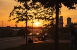 A scenic landscape of the park during sunset.