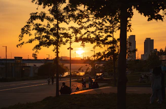 Sunset view over a green park with walking trails and families enjoying nature.