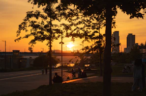 A sunset view over a scenic park where people are jogging and relaxing