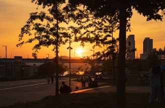 A scenic view of a popular local park during sunset.