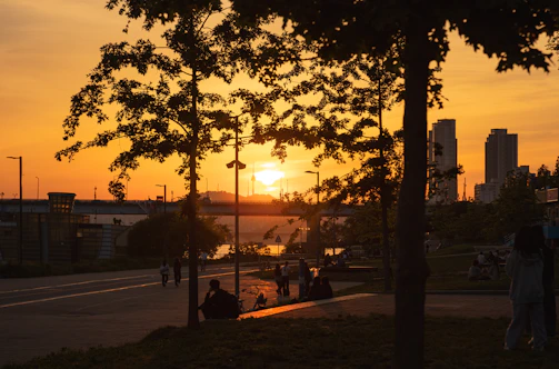 Sunset view over a green park with walking trails and families enjoying nature.