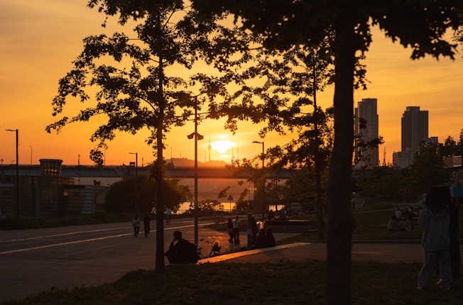 A scenic park view during sunset, with trees silhouetted against an orange sky and a large glowing sun near the horizon. Skyscrapers are visible in the background, while people are casually sitting and walking along the pathways and grassy areas, enjoying the peaceful atmosphere.