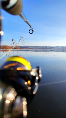 A fishing rod is prominently displayed in the foreground, pointing towards calm, reflective water under a clear blue sky. The water is surrounded by sparse reeds on the left and a distant treeline on the horizon. The rod's reel is slightly out of focus but noticeable in the lower left corner.