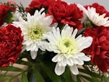 Sympathetic floral arrangement for a casket featuring deep red and cream flowers.