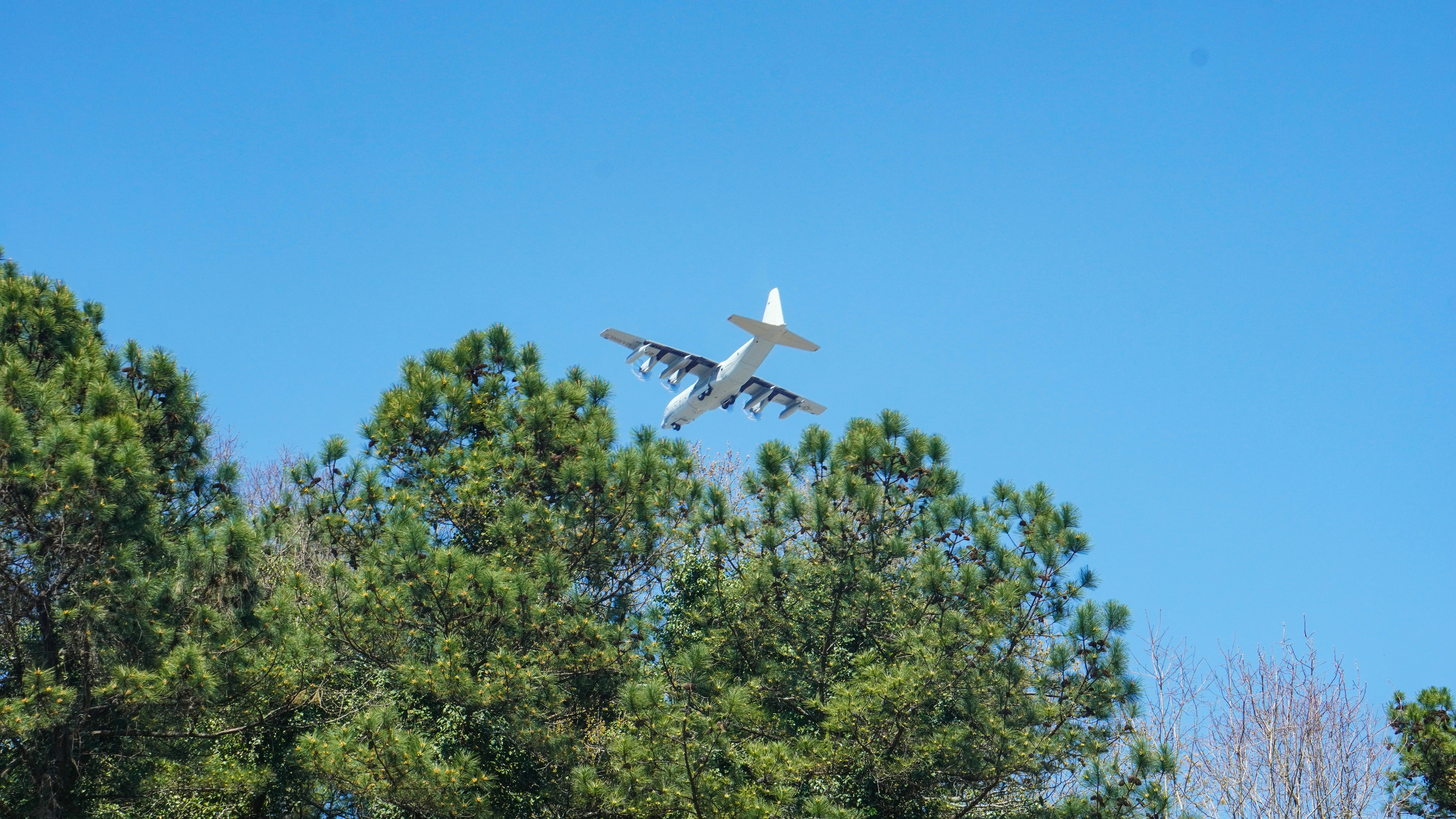 Ein Flugzeug, das bei blauem Himmel über einige Bäume fliegt