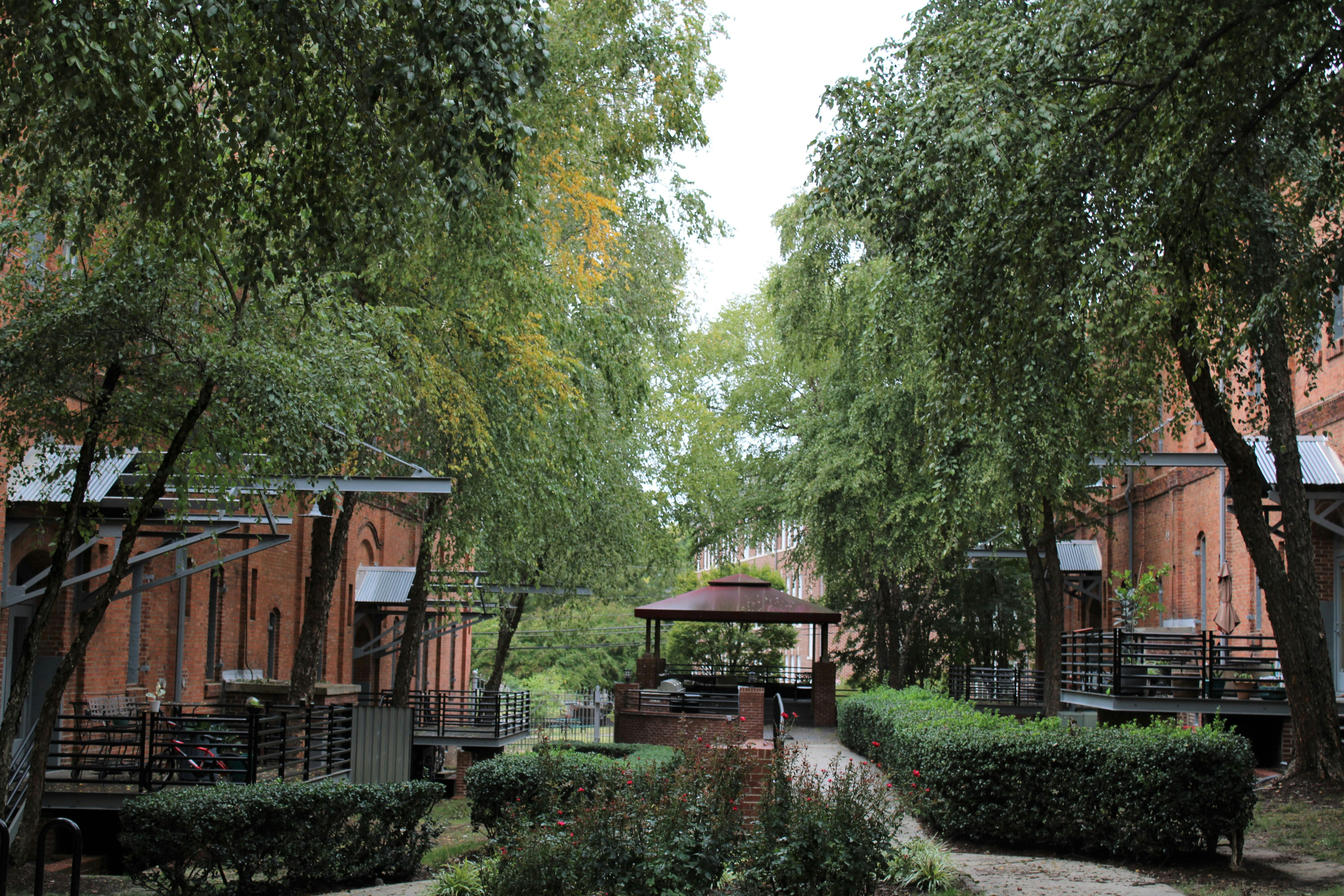 Photo by bhsmith1985