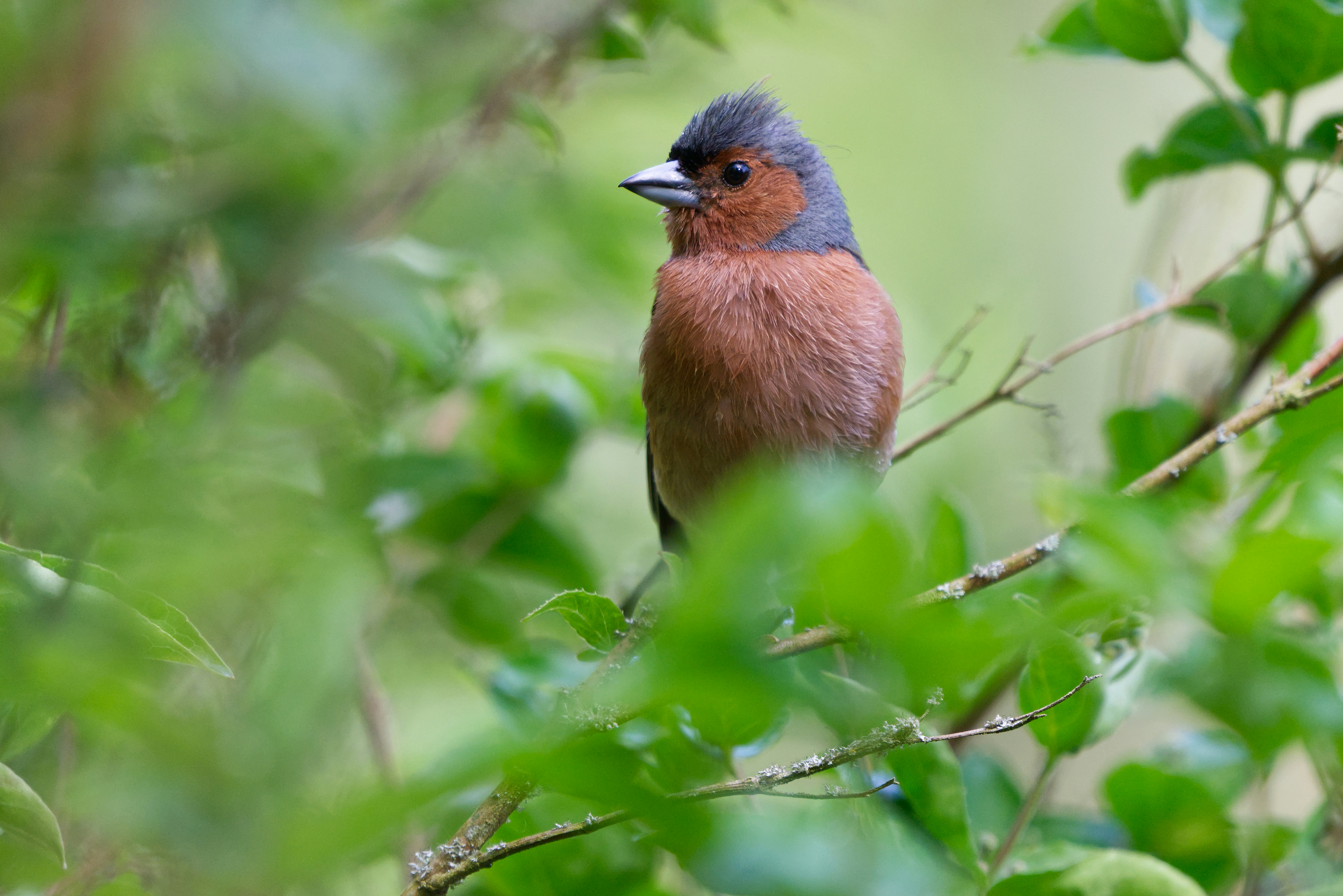 Photo by c_mind_media