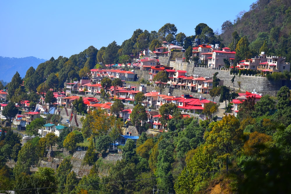 a hillside covered in lots of red roofed houses