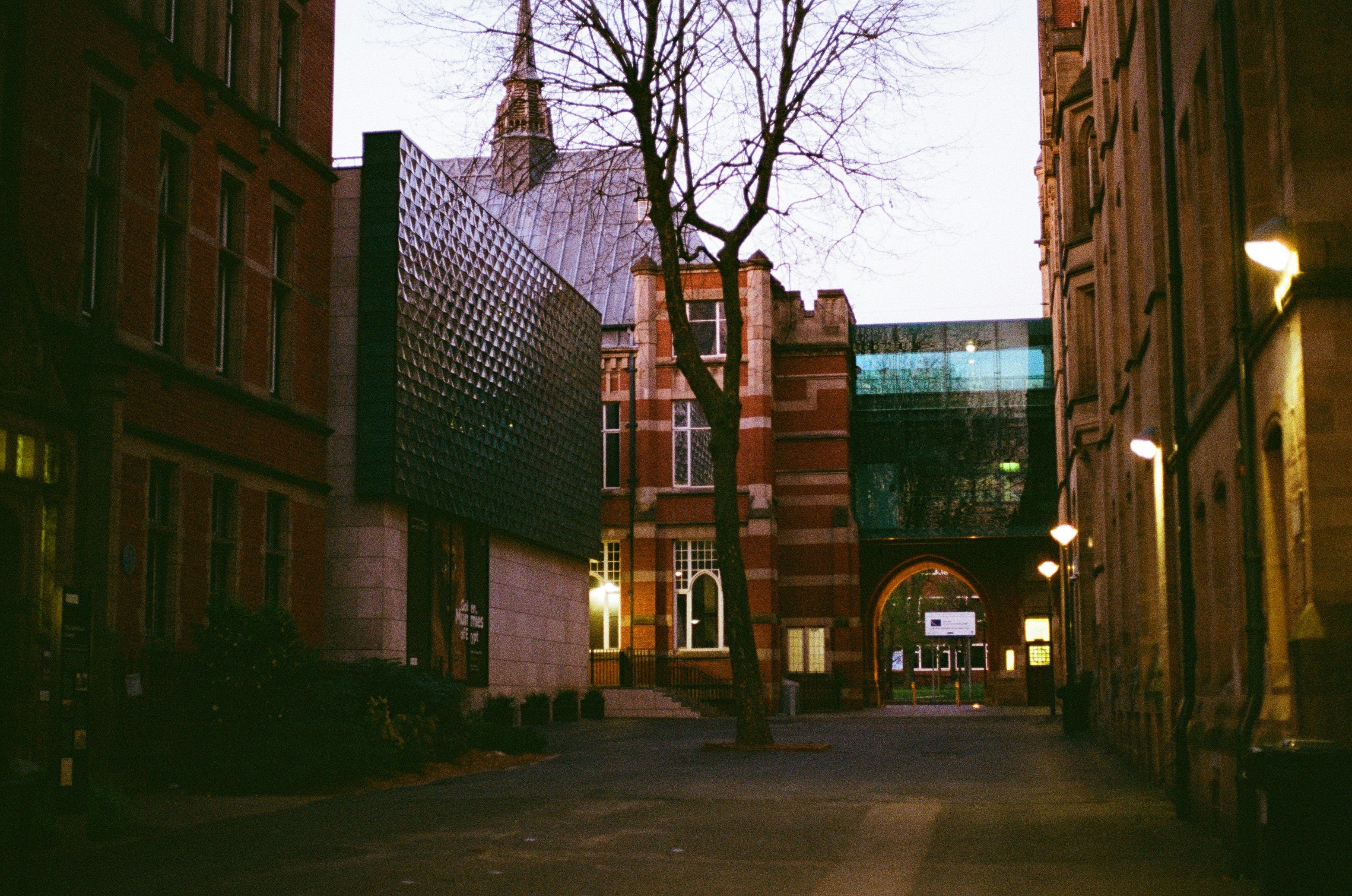 a tree is in the middle of an alley way
