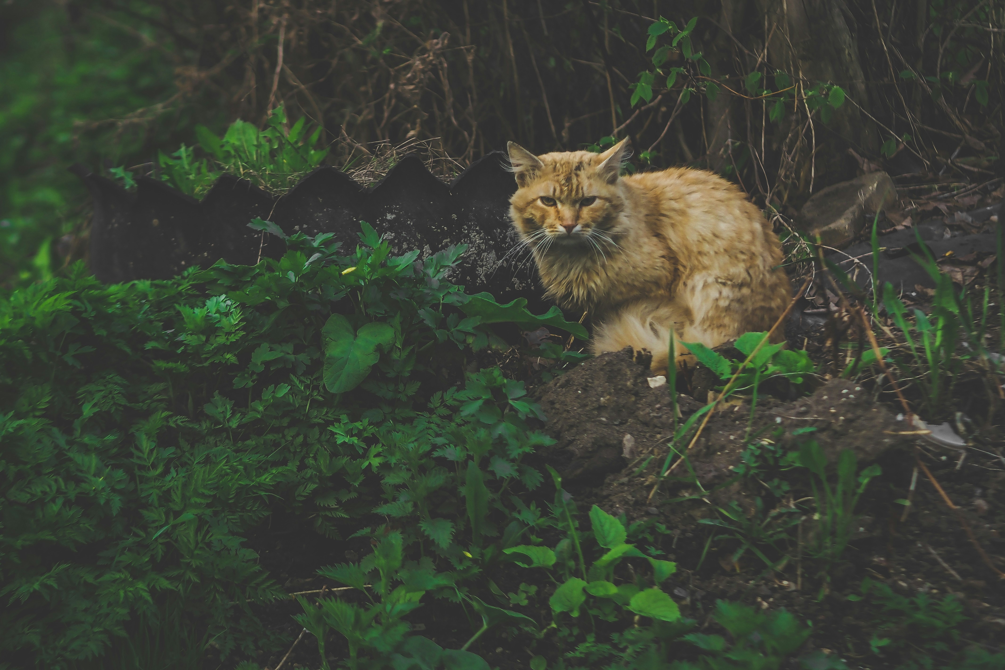 Photo by trofimova_photographer