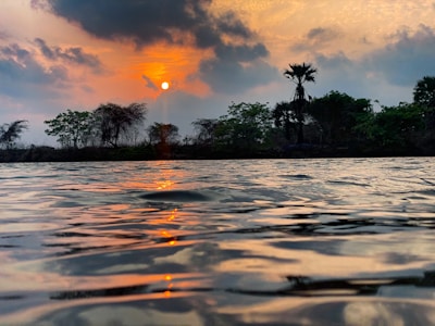 A vibrant sunset over the Chari River with silhouettes of palm trees along the shore.