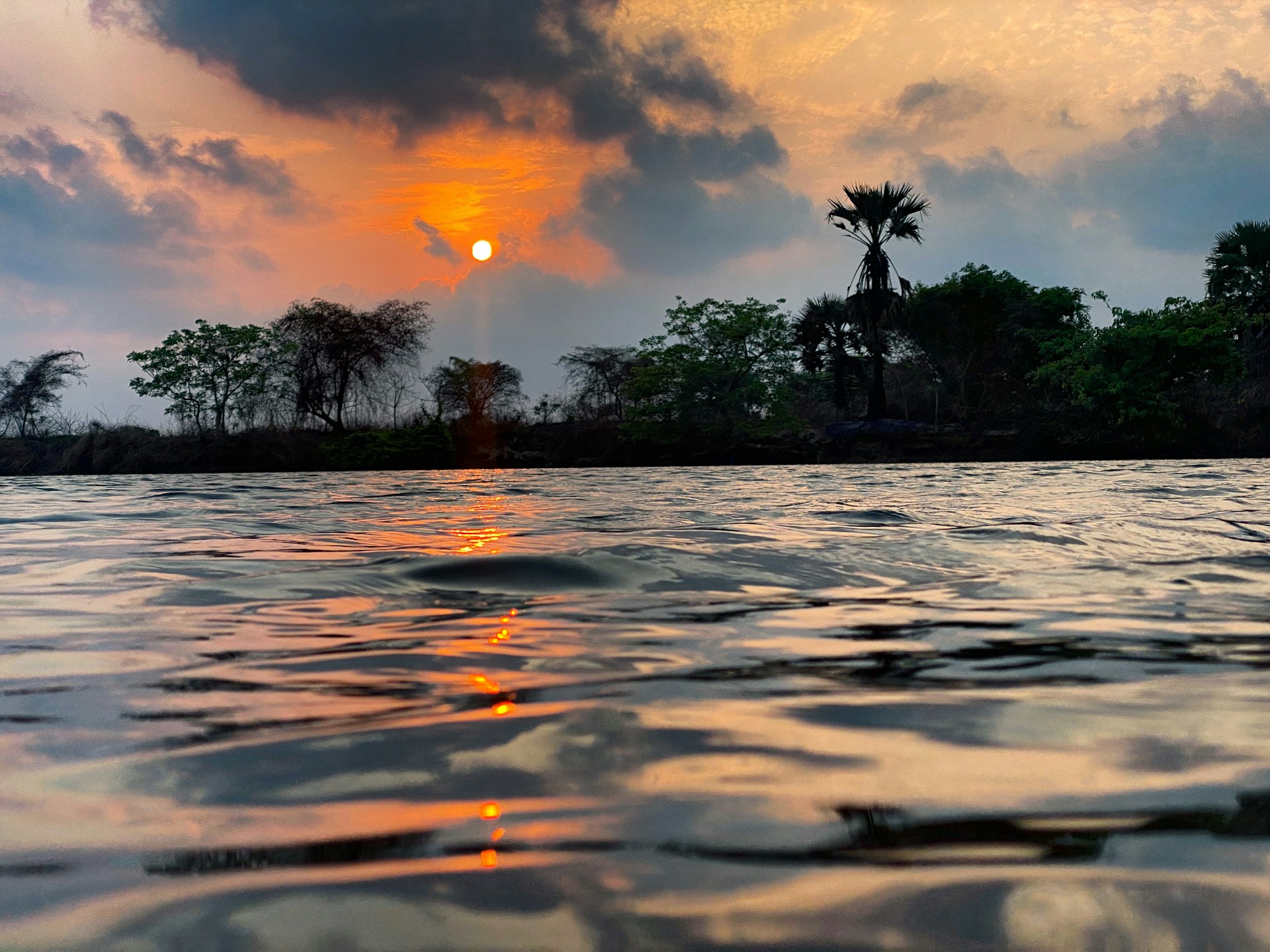 A vibrant sunset over the River Gambia, with golden light reflecting on the water and silhouetted palm trees.