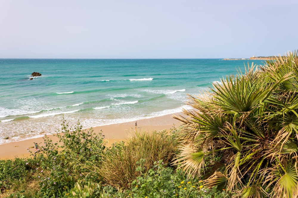 a view of a beach with a body of water