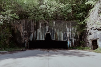 a tunnel in the middle of a forest
