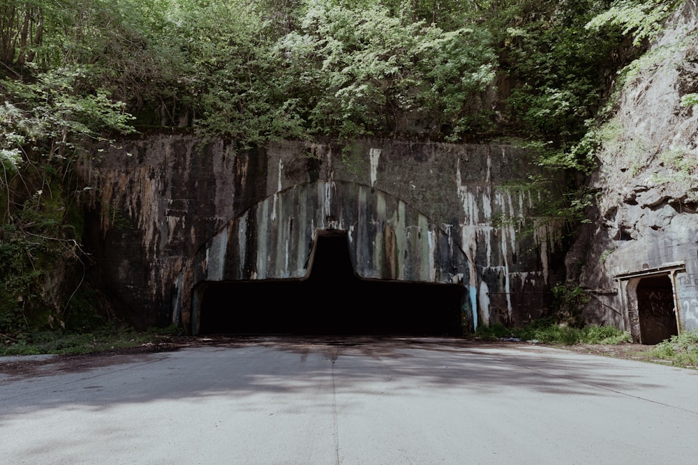 a tunnel in the middle of a forest