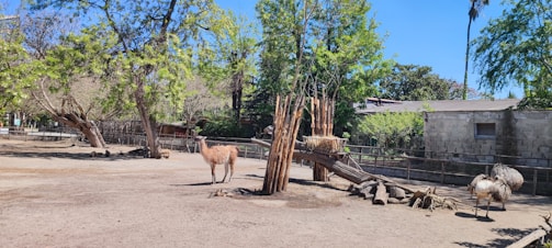 A peaceful animal park with various species in natural habitats