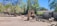 A peaceful outdoor setting at a zoo or park exhibits a few animals. In the foreground, there is a llama standing near a tree with sparse branches. To the right, an ostrich or similar large bird is visible. The ground is a mix of dirt and sparse grass. Several trees with green foliage surround the area, providing some shade, while a building is visible in the background.