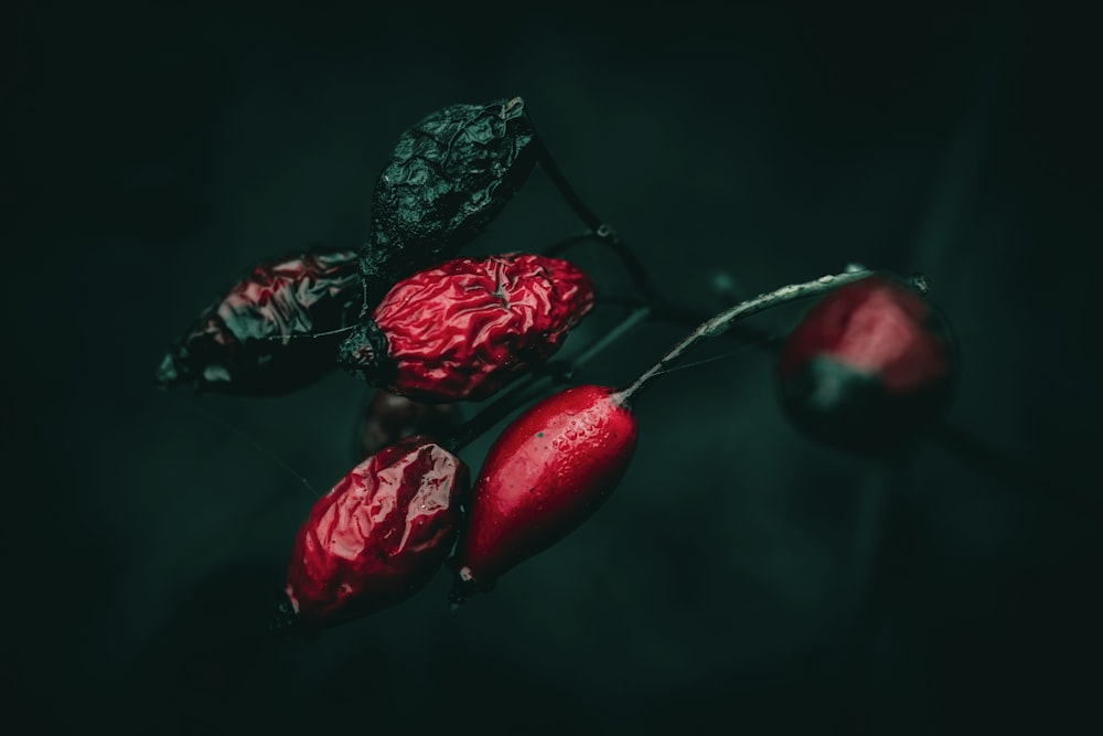 un bouquet de fruits assis sur une table