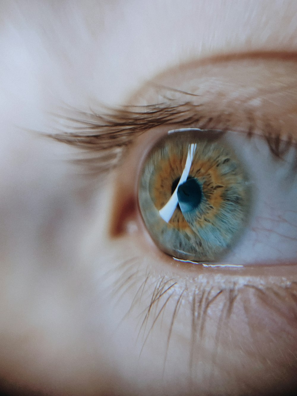 a close up of a person's blue eye