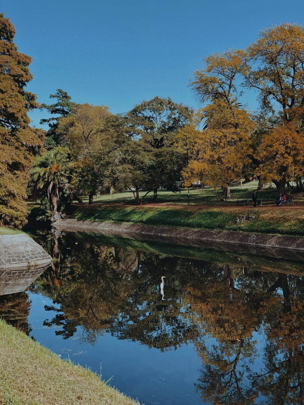 a body of water surrounded by trees and grass