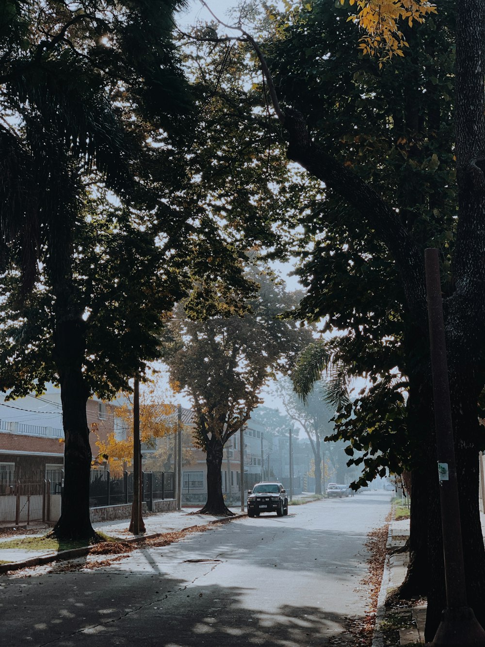 a car parked on the side of a road next to trees