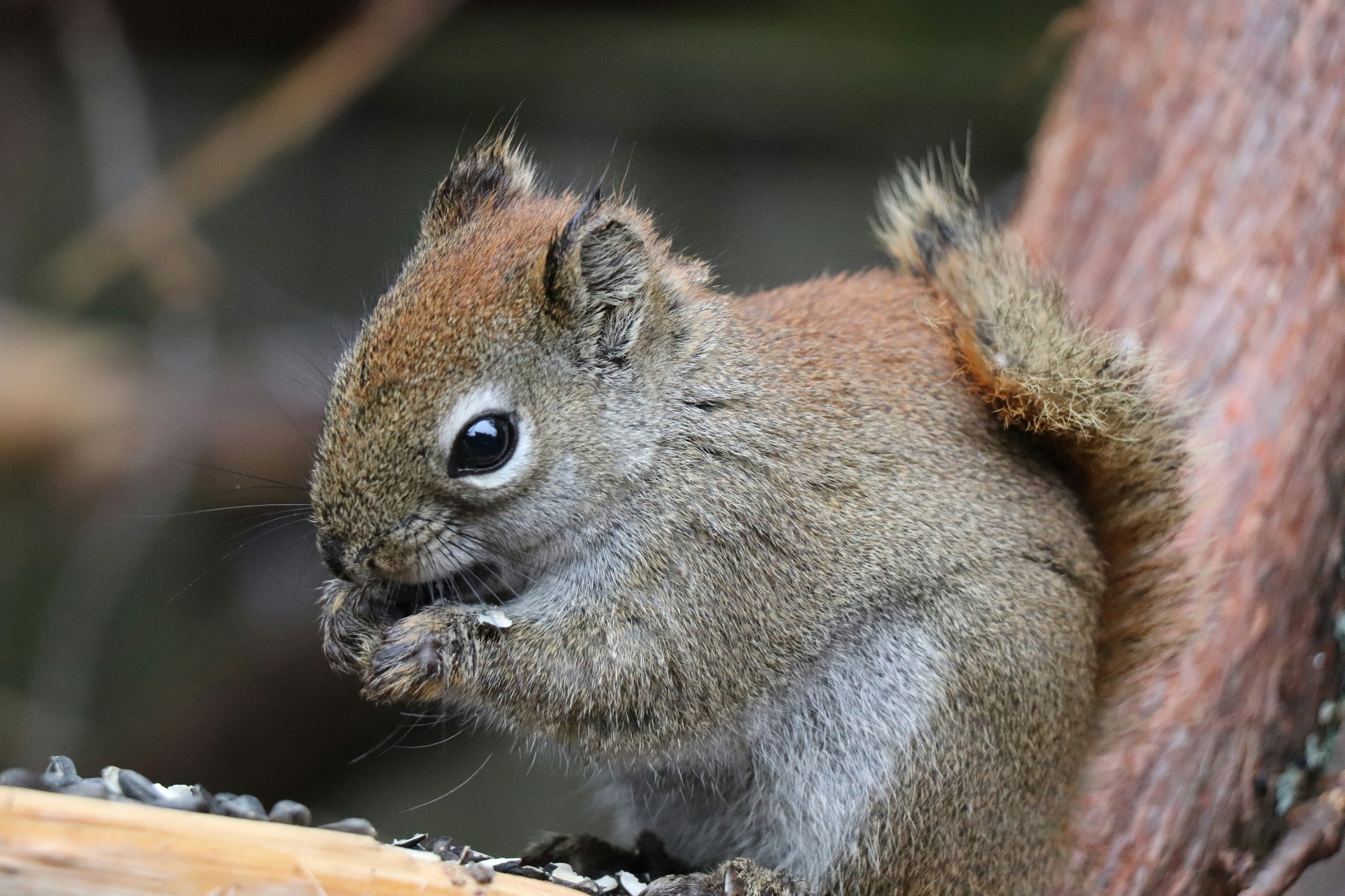 Photo by sandimagerart