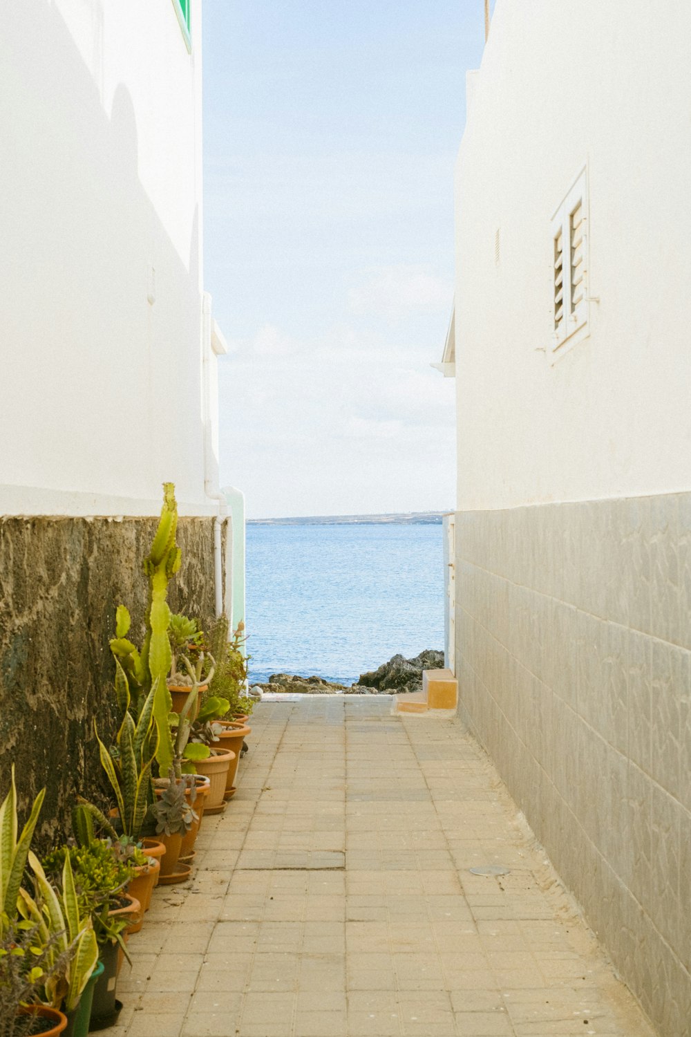 a narrow walkway with potted plants and a view of the ocean