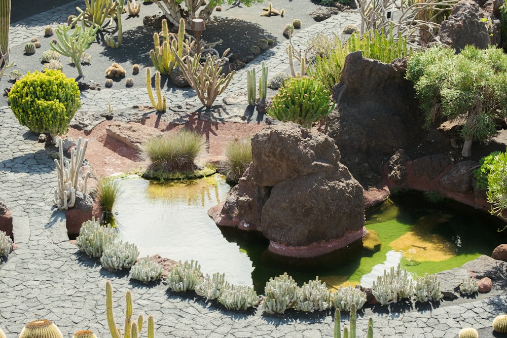 a small pond surrounded by rocks and plants