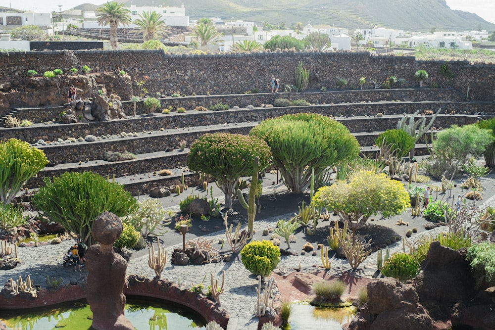 a garden filled with lots of trees and plants