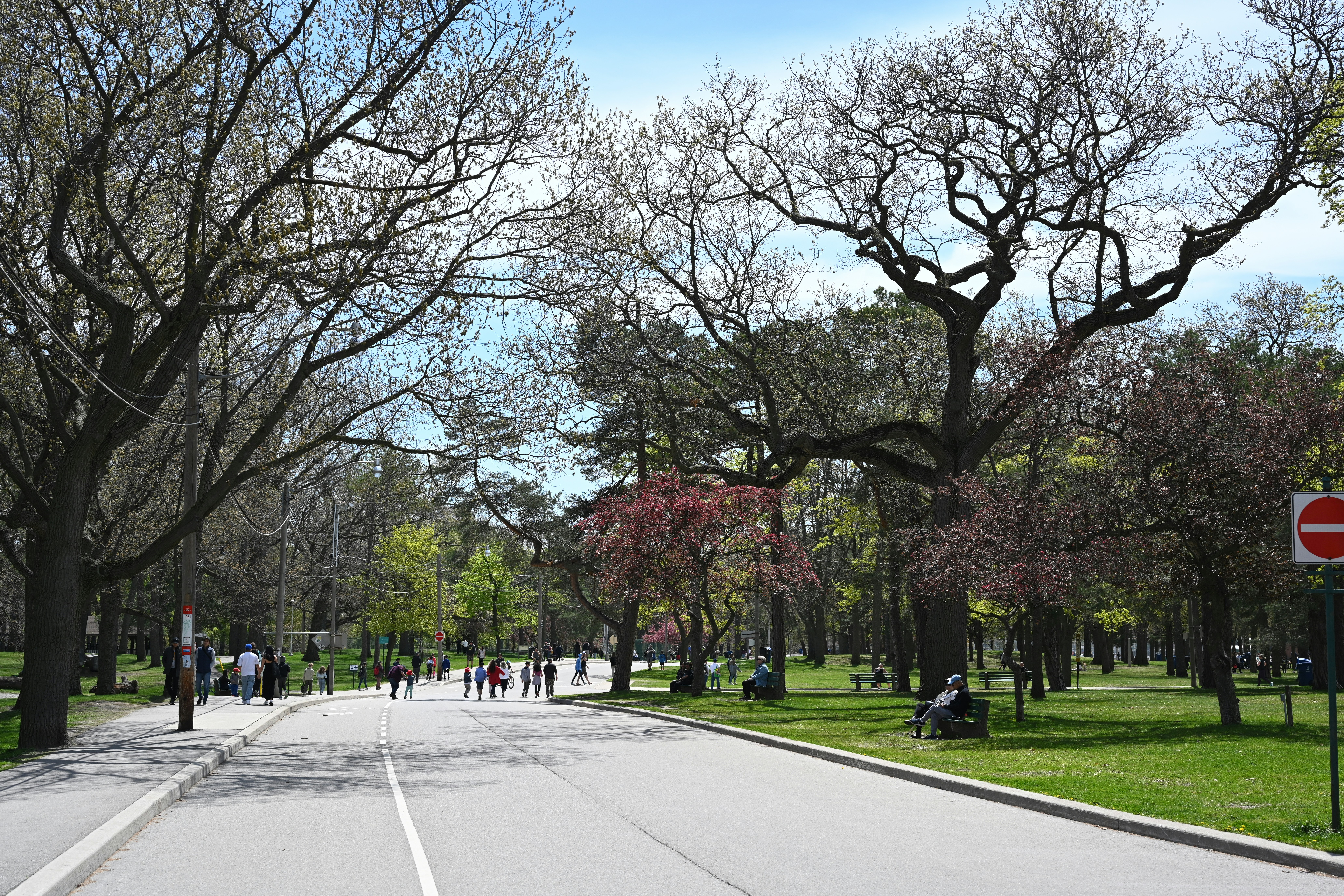 Photo by juanreyesabreu