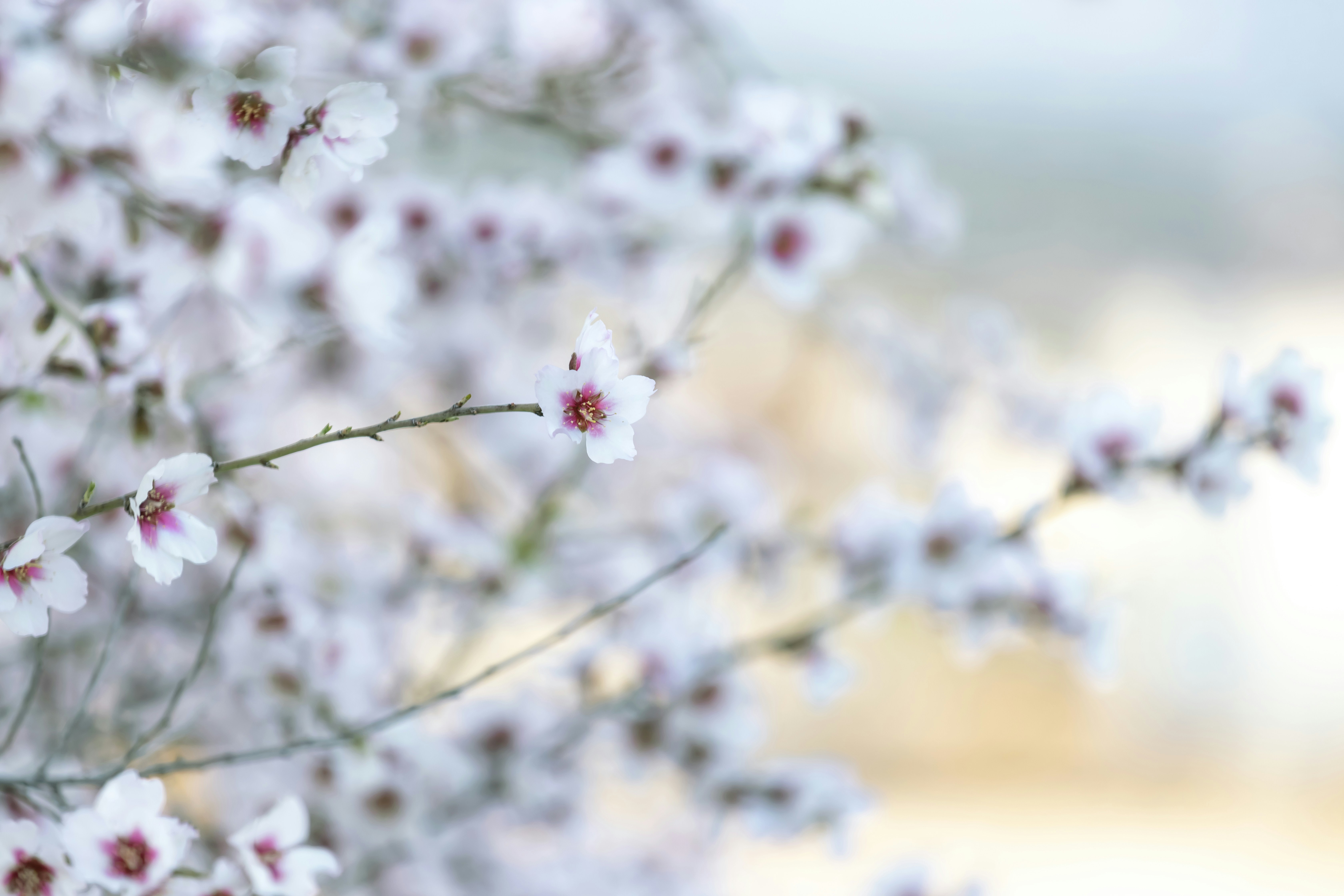 Photo by gabyfishmanfosbery