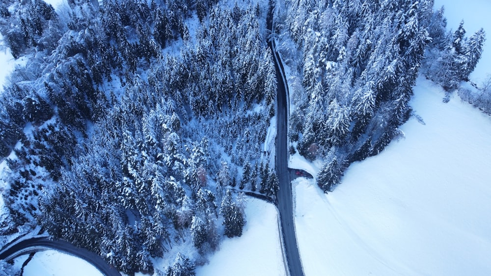 a winding road in the middle of a snow covered forest