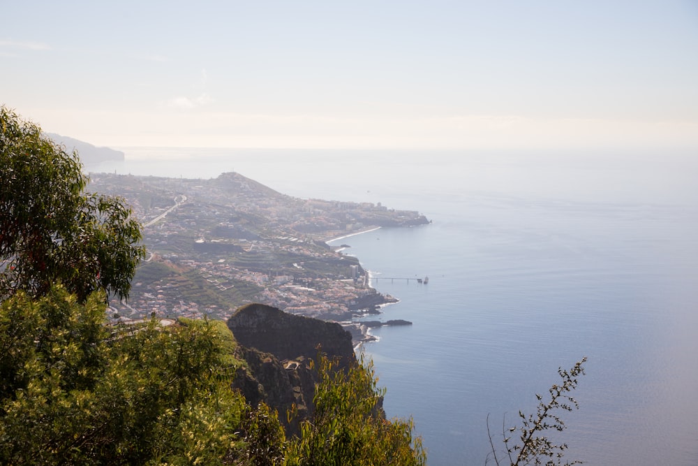 a view of the ocean from a hill