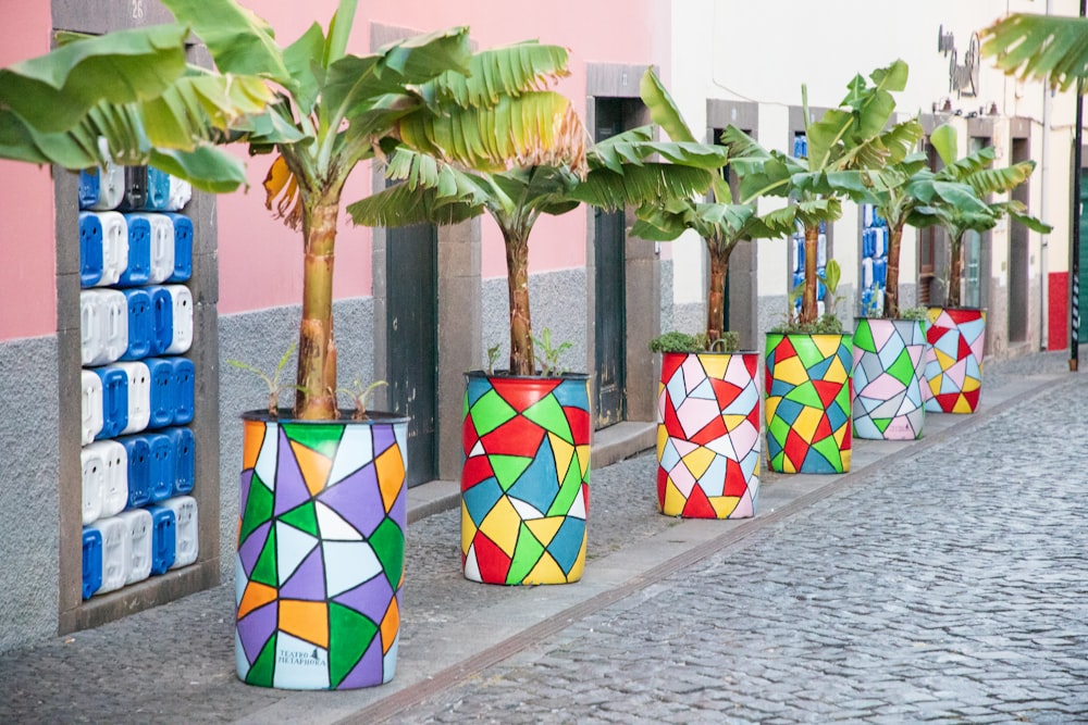 a row of potted plants sitting next to each other