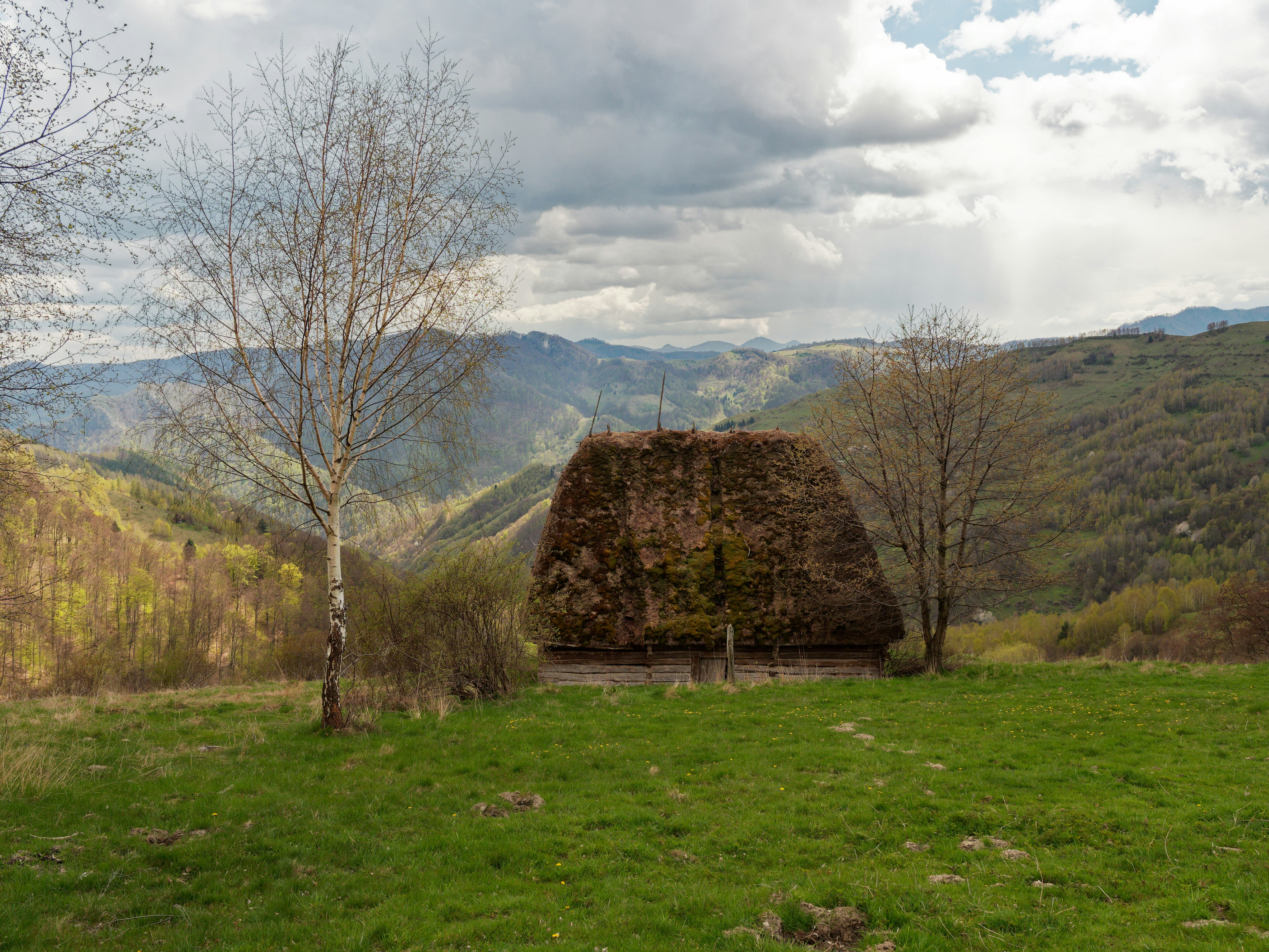 Photo by illes_cristi