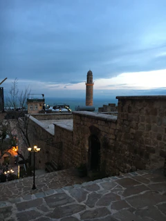 A sweeping view of Ebonyr's mist-shrouded capital city at twilight, with ancient stone towers and winding streets.