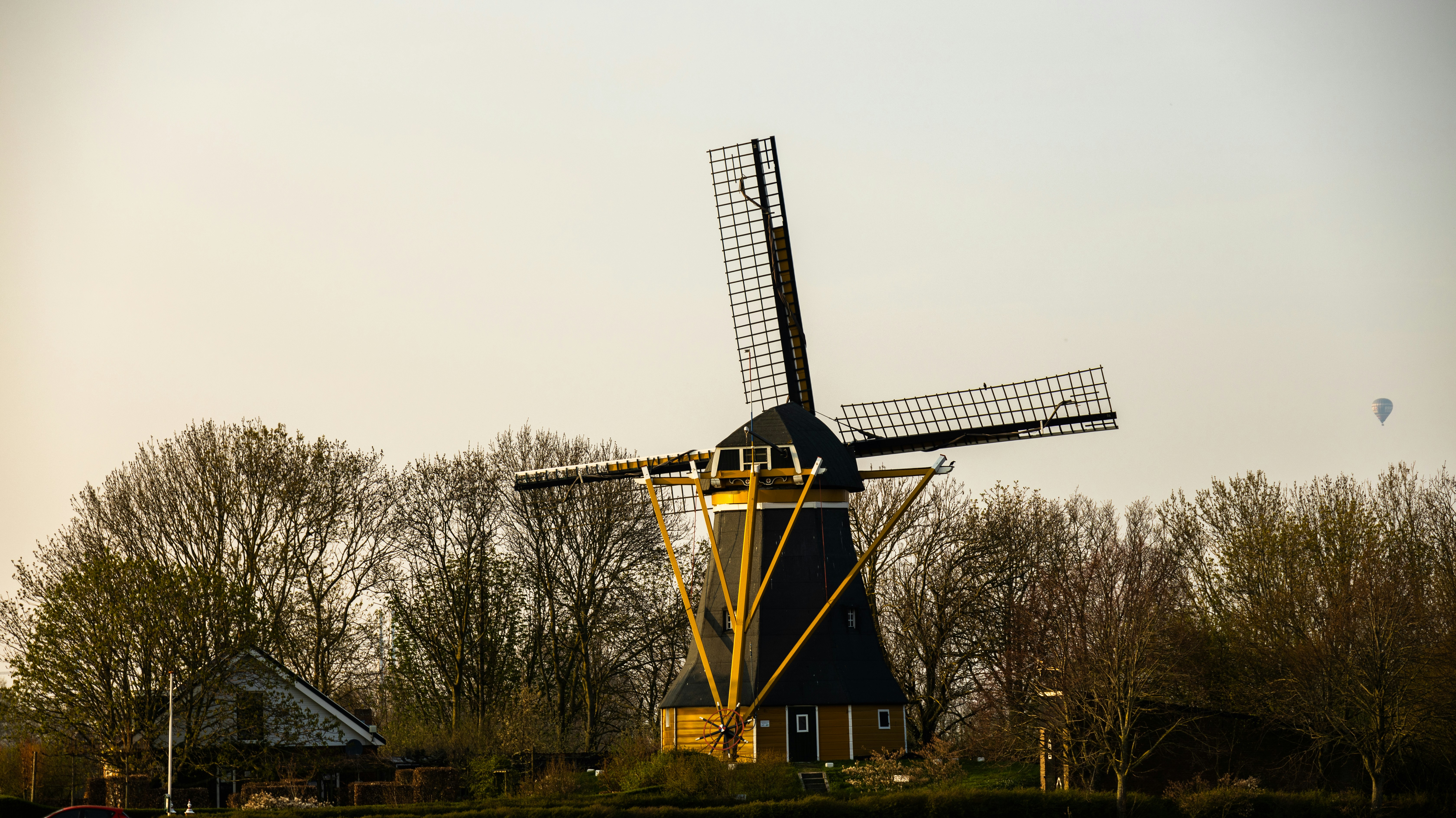 photo-1683576884617-49c715078545?ixid=M3wxMjA3fDB8MXxzZWFyY2h8M3x8c3VnYXIlMjBkYWRkeSUyMHNpdGVzJTIwbmVkZXJsYW5kfGVufDB8fHx8MTc1NjQ1MjU5NXww\u0026ixlib=rb-4.1.0