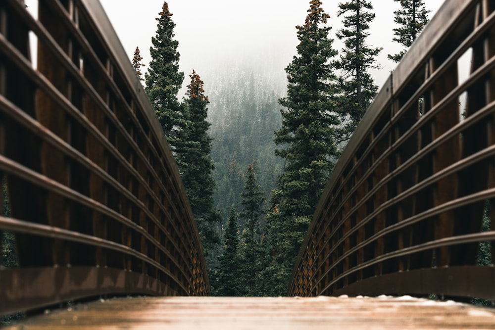 eine Holzbrücke mit Bäumen im Hintergrund